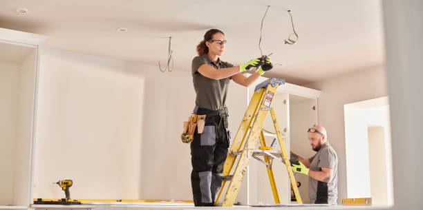 Best Electrician for Home Renovation  in Ridgeville, SC